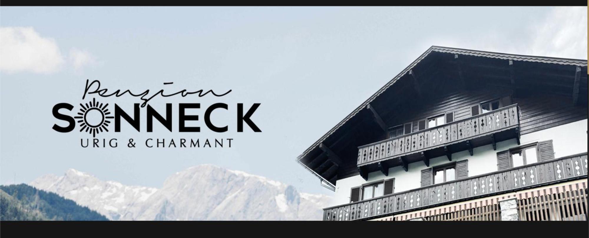 Pension Sonneck プファルヴェルフェン エクステリア 写真