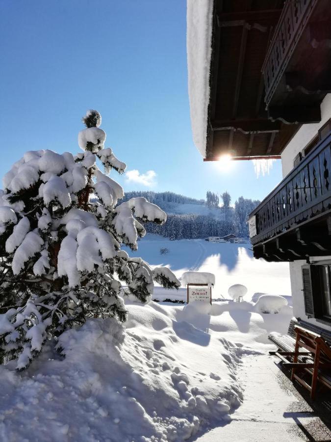 Pension Sonneck プファルヴェルフェン エクステリア 写真